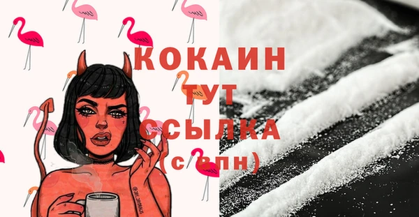 твердый Балахна
